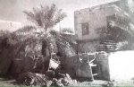 This is a rare photo of the garden in which the sahaba heartbreakingly stood on the day that the Prophet passed away 